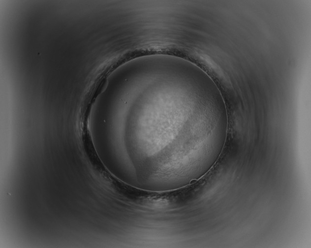 X0000093260640200710031604