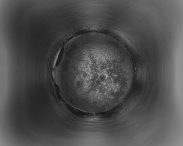 X0000093260643200710031604