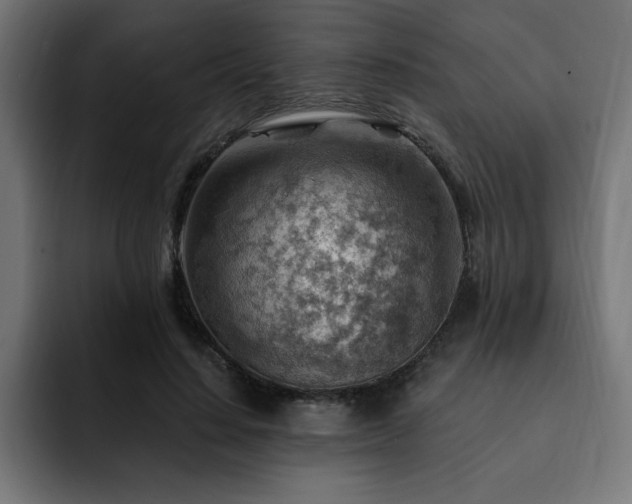 X0000093260644200710031604