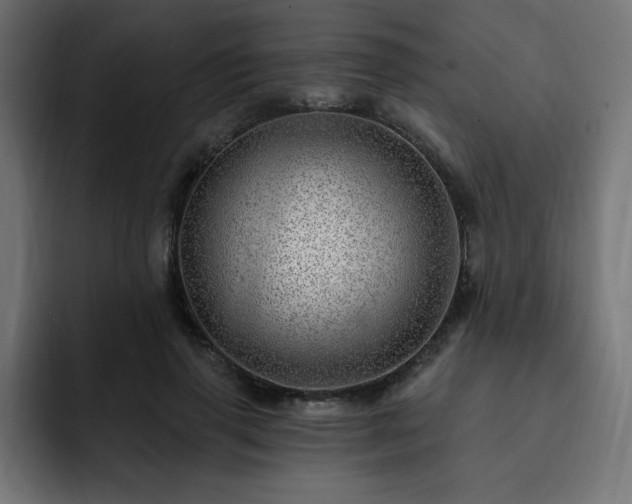 X0000093260645200710031604