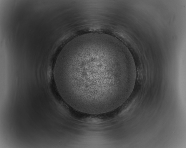 X0000093260648200710031604