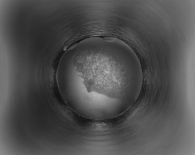 X0000093260650200710031604