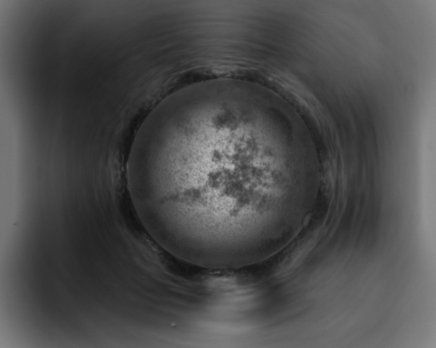 X0000093260653200710031604