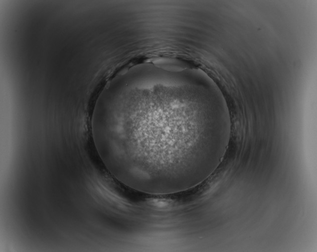 X0000093260654200710031604