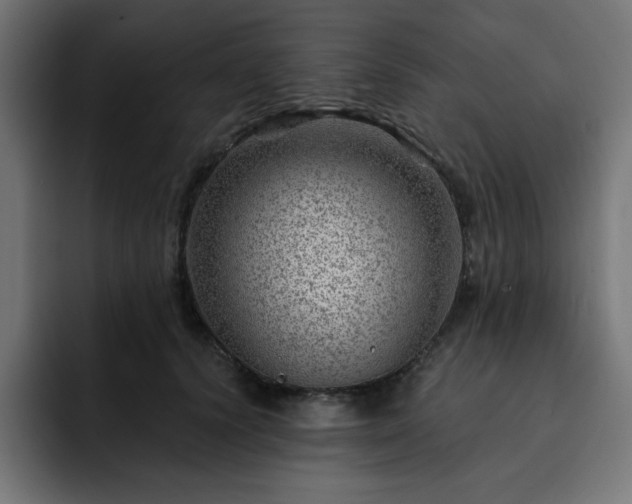 X0000093260656200710031605