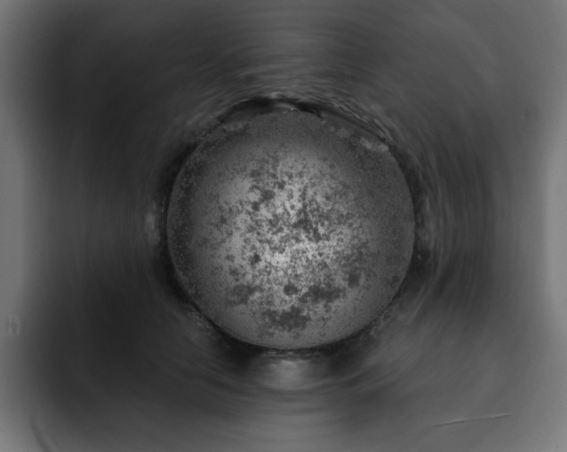 X0000093260658200710031605