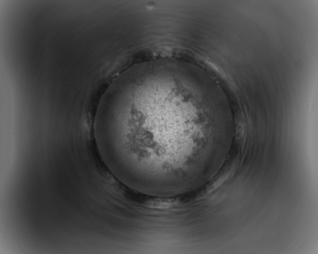 X0000093260661200710031605