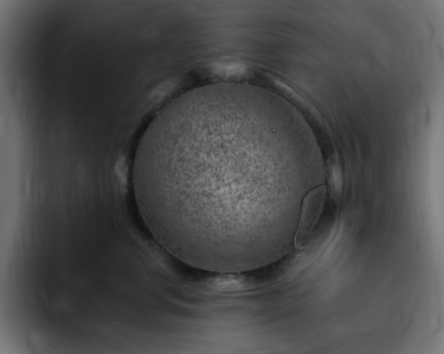 X0000093260668200710031605