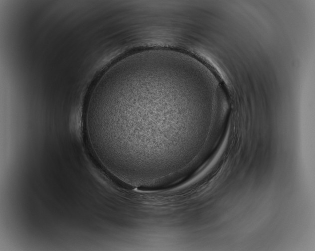 X0000093260677200710031604