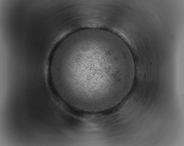 X0000093260679200710031604