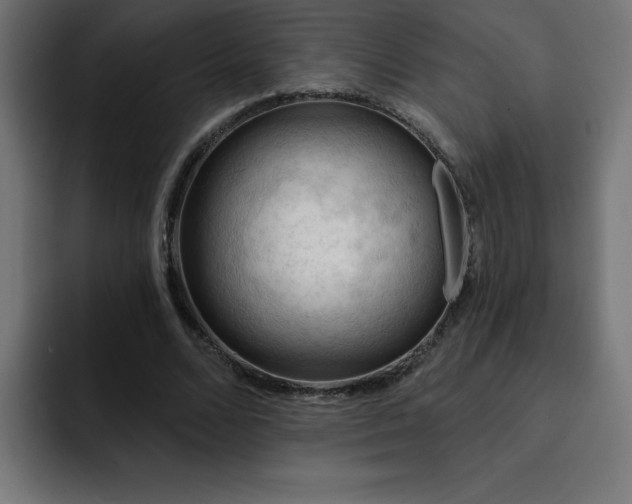 X0000093260680200710031604