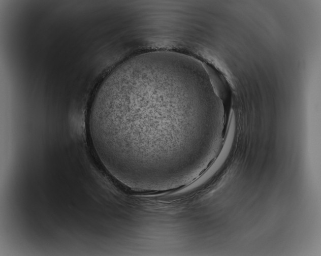 X0000093260681200710031604