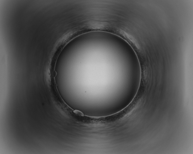 X0000093260682200710031604