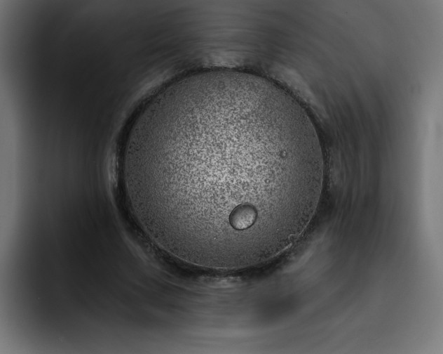 X0000093260683200710031604