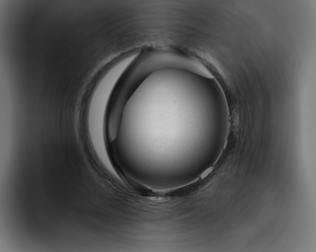 X0000093260684200710031604