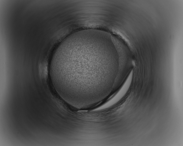 X0000093260685200710031604