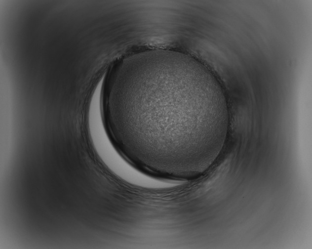 X0000093260689200710031604