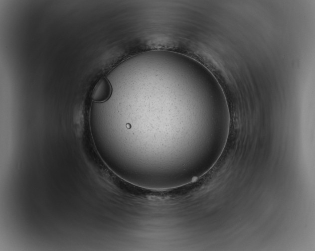 X0000093260690200710031604