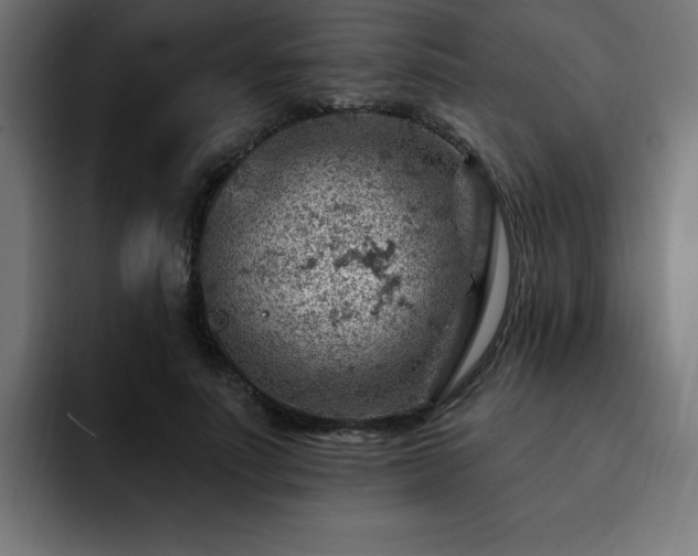 X0000093260691200710031604