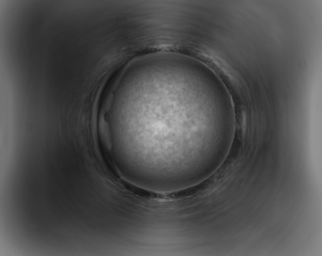 X0000093260696200710031604