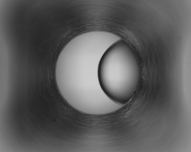 X0000093260697200710031604