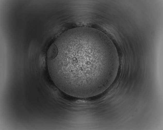 X0000093260699200710031604