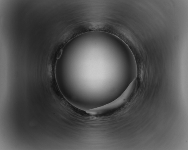 X0000093260700200710031604