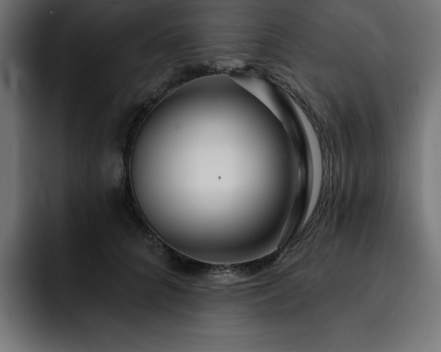 X0000093260704200710031604