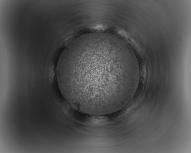 X0000093260707200710031604