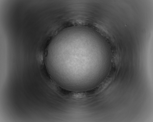 X0000093260709200710031604