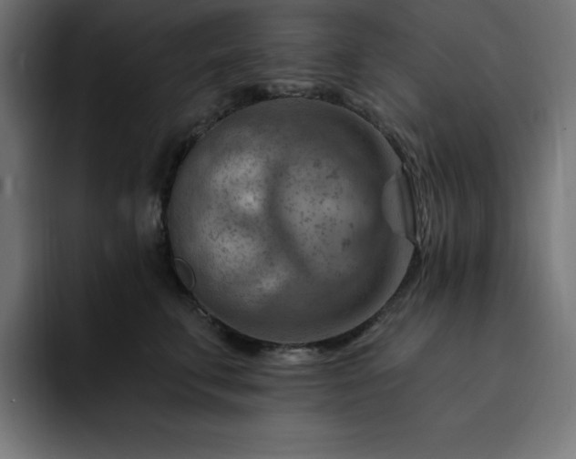 X0000093260711200710031604