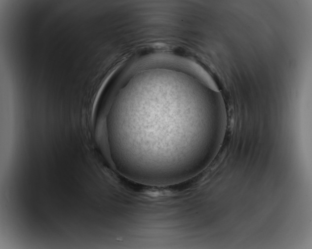 X0000093260712200710031604