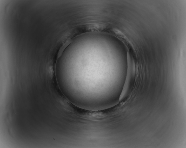 X0000093260716200710031604