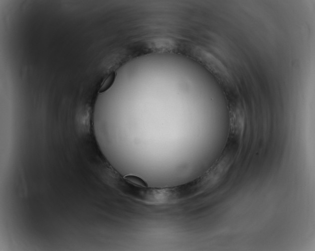 X0000093260717200710031604