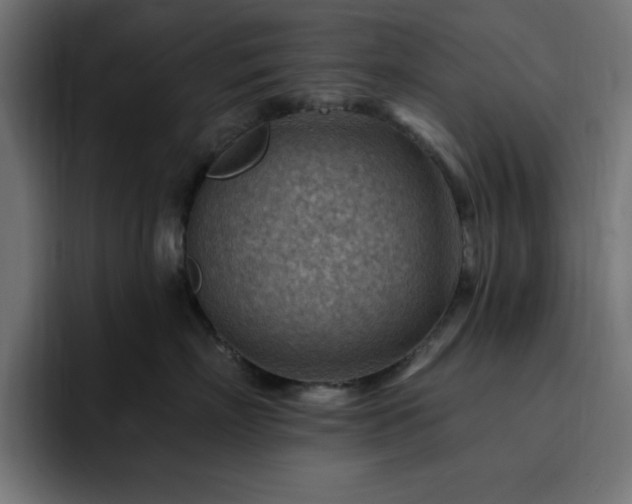 X0000093260718200710031604