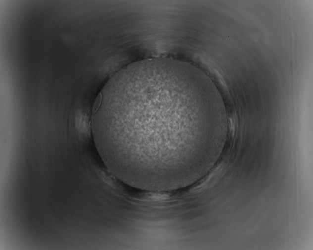 X0000093260719200710031604