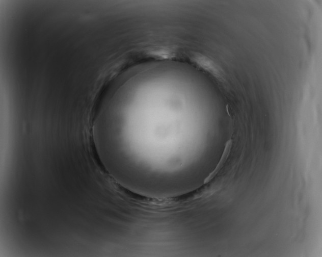 X0000093260720200710031604