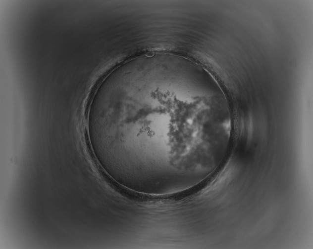 X0000093260721200710031603