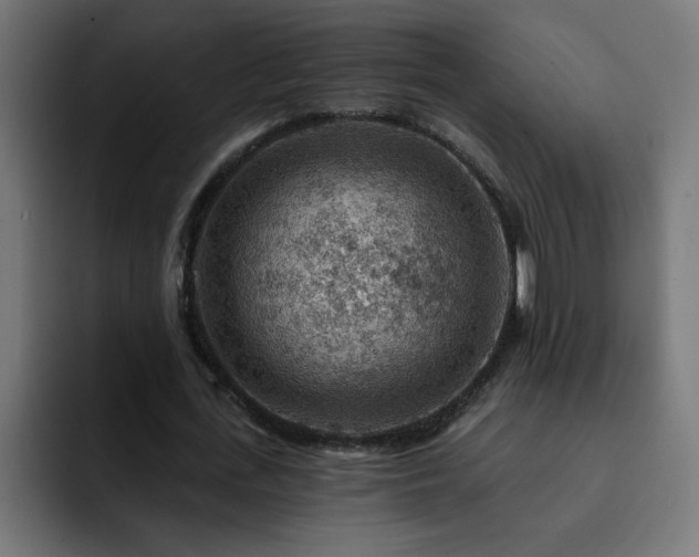 X0000093260723200710031603