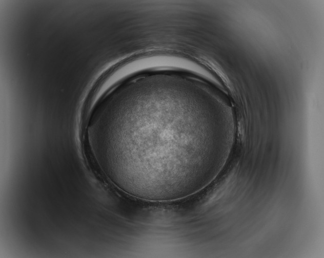 X0000093260724200710031603