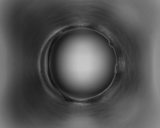 X0000093260726200710031603