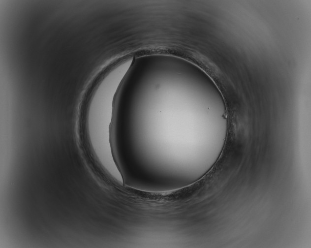 X0000093260728200710031603