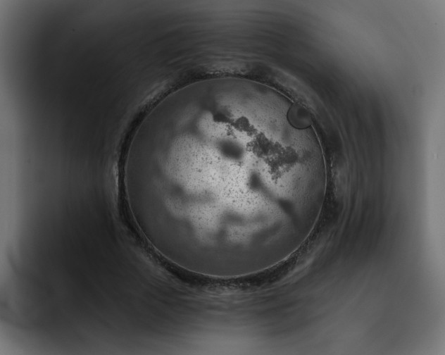 X0000093260729200710031603