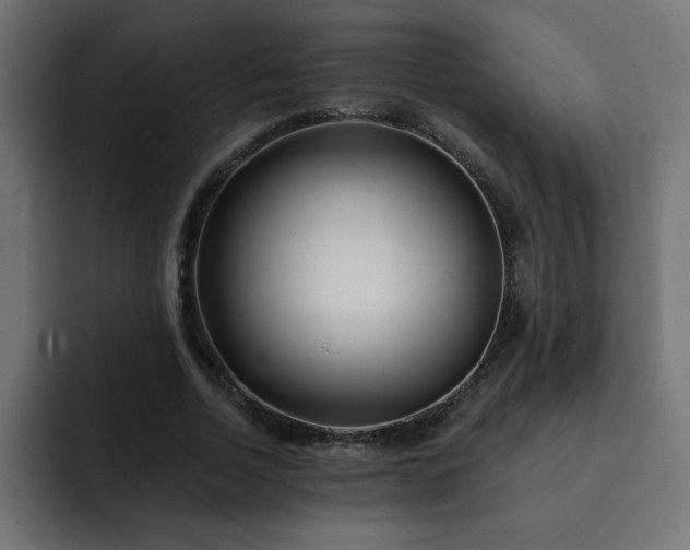 X0000093260730200710031603