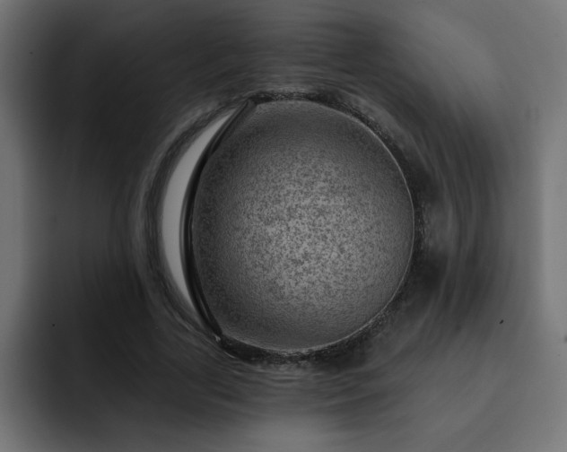 X0000093260731200710031603