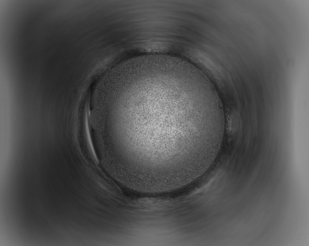 X0000093260733200710031603