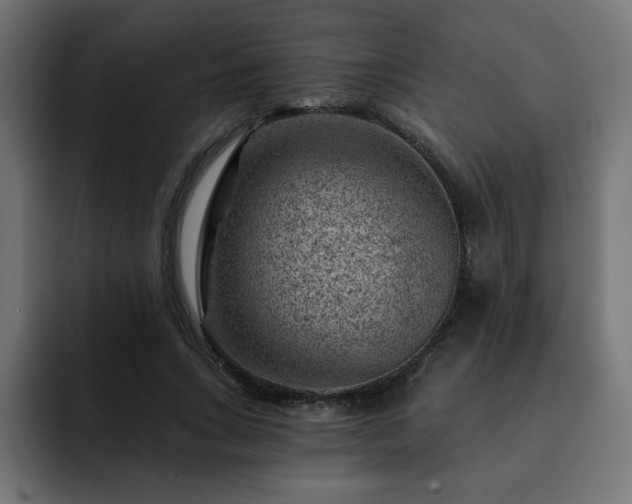 X0000093260735200710031603