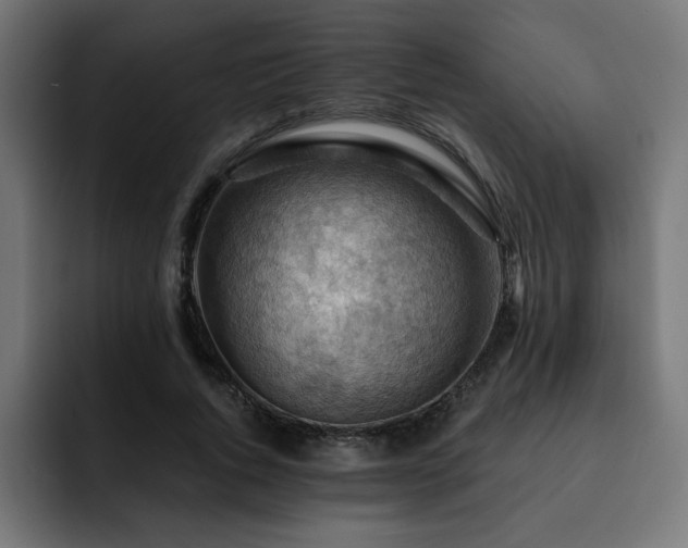 X0000093260736200710031603