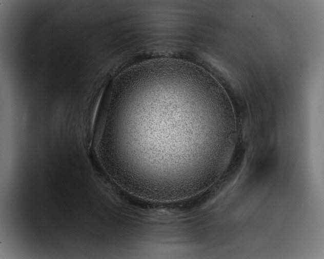 X0000093260737200710031603