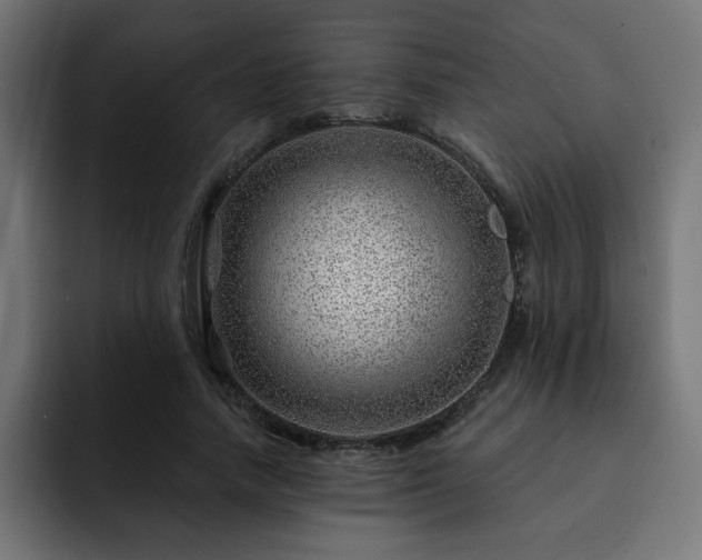 X0000093260738200710031603